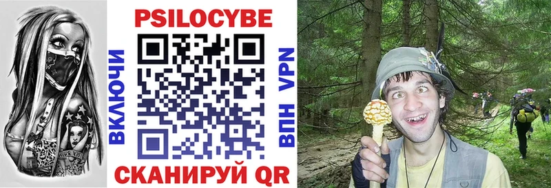 Псилоцибиновые грибы Psilocybine cubensis  купить   Нязепетровск 